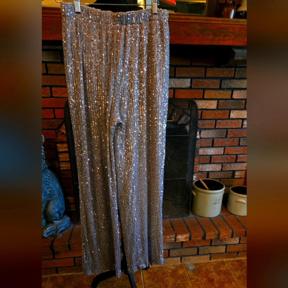 Silver Sequined Dress Pants.